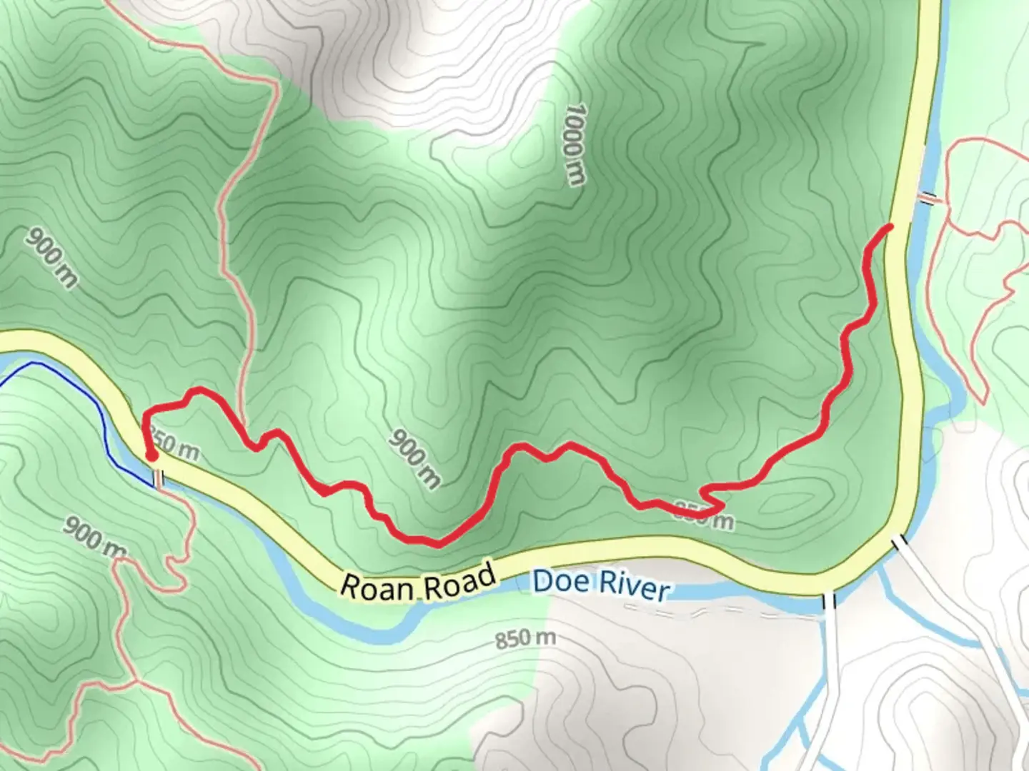 An image depicting the trail Forest Road Trail North - Roan Road and its surrounding area.