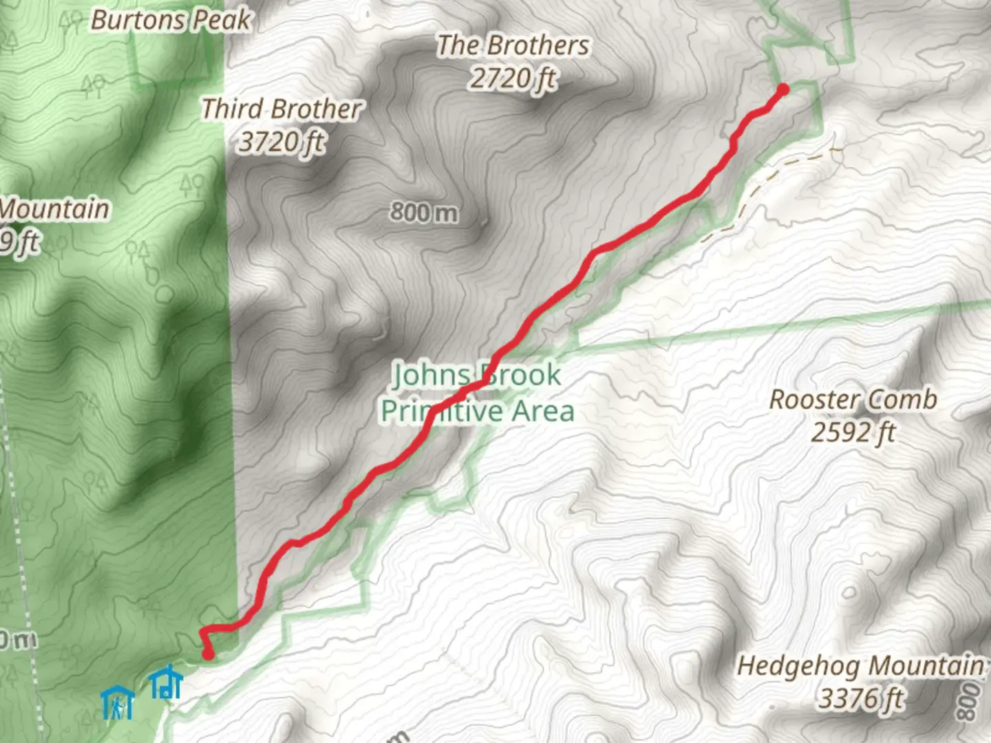 An image depicting the trail Johns Brook Lodge and Grace Camp from Interbrook Road and its surrounding area.