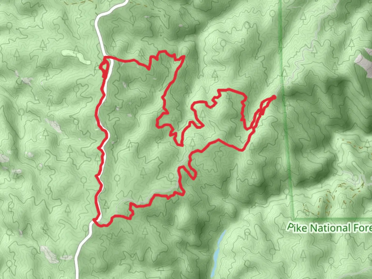 An image depicting the trail Jackson Creek Road - Overlook Loop Trail and its surrounding area.