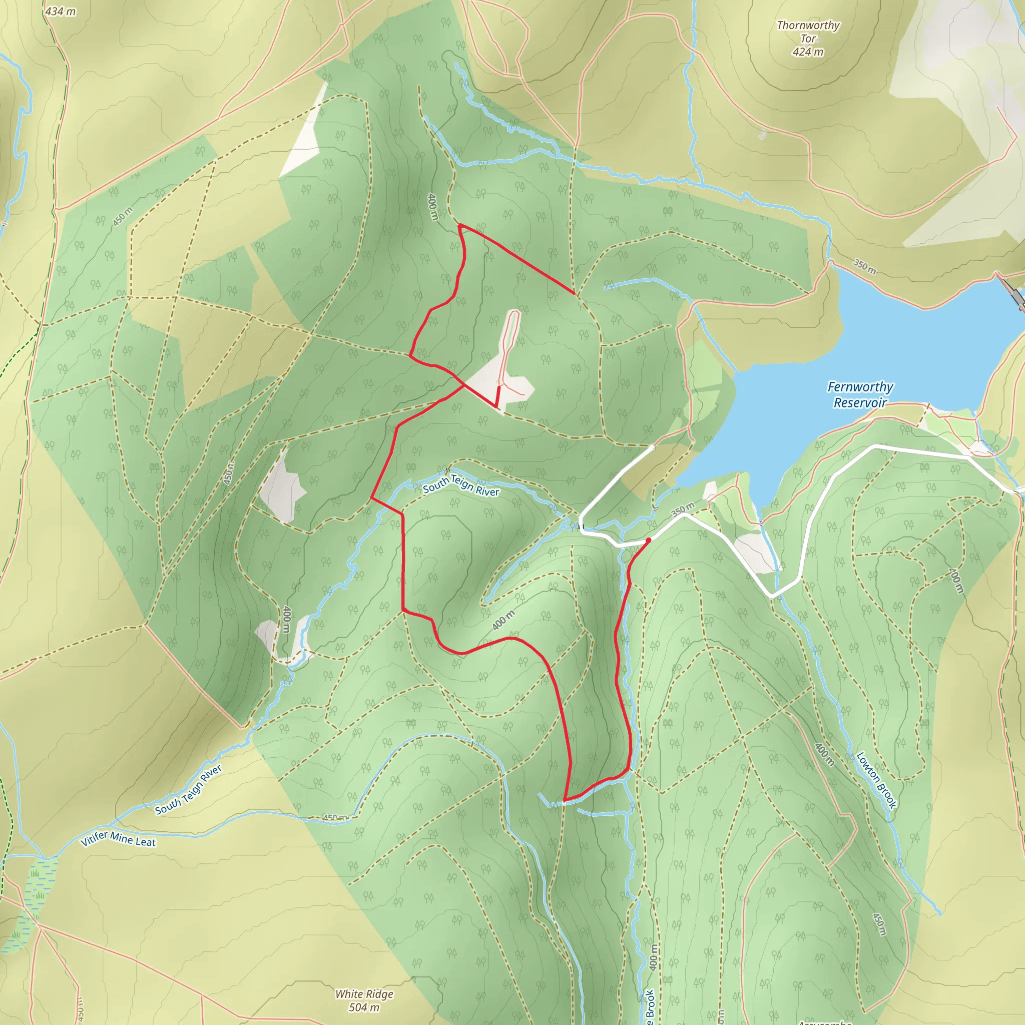 Fernworthy Stone Circle Walk mobile static map