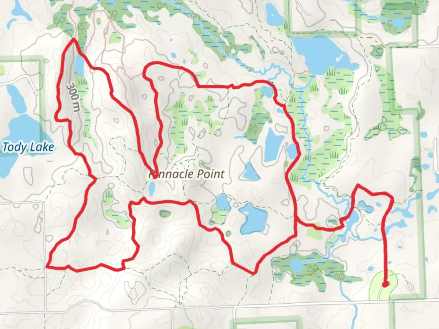 An image depicting the trail Webester Lake and Pinnacle Point Loop and its surrounding area.