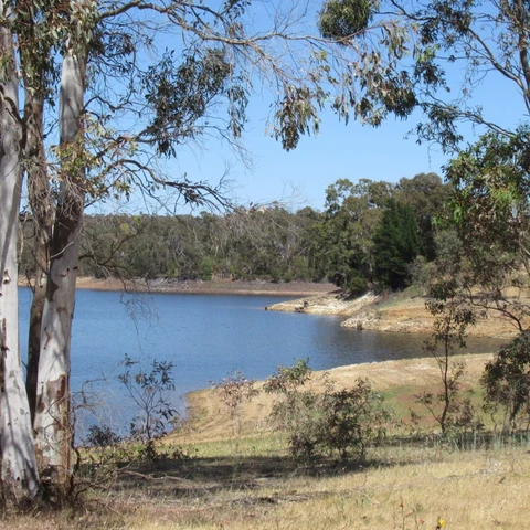 Peninsula Loop and South Para Reservoir