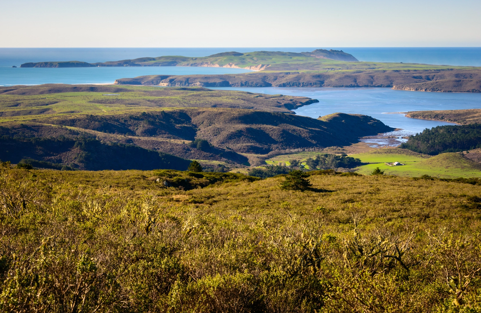 An image depicting the trail Point Reyes Loop and its surrounding area.