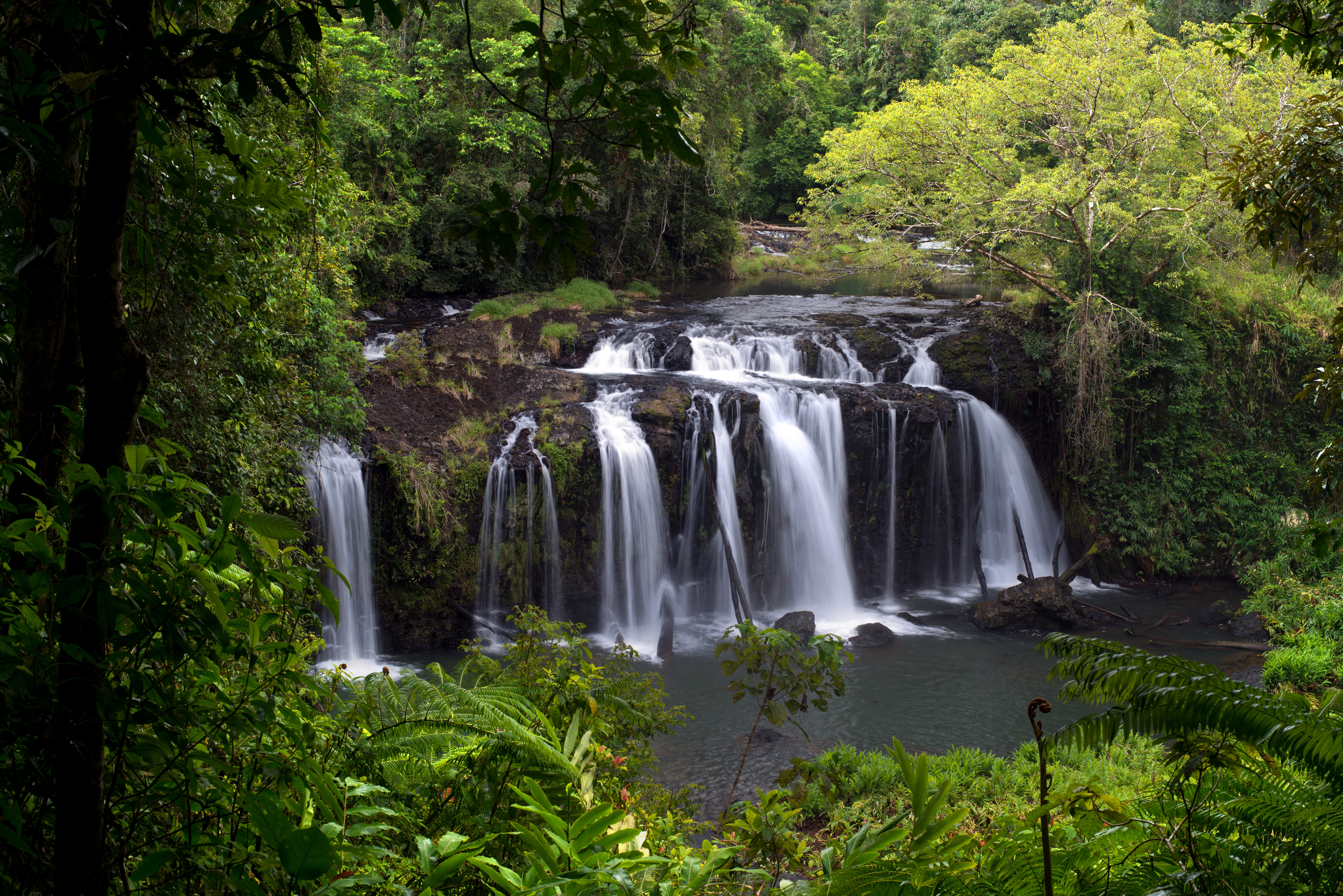 An image depicting the trail Wooroonooran National Park and its surrounding area.