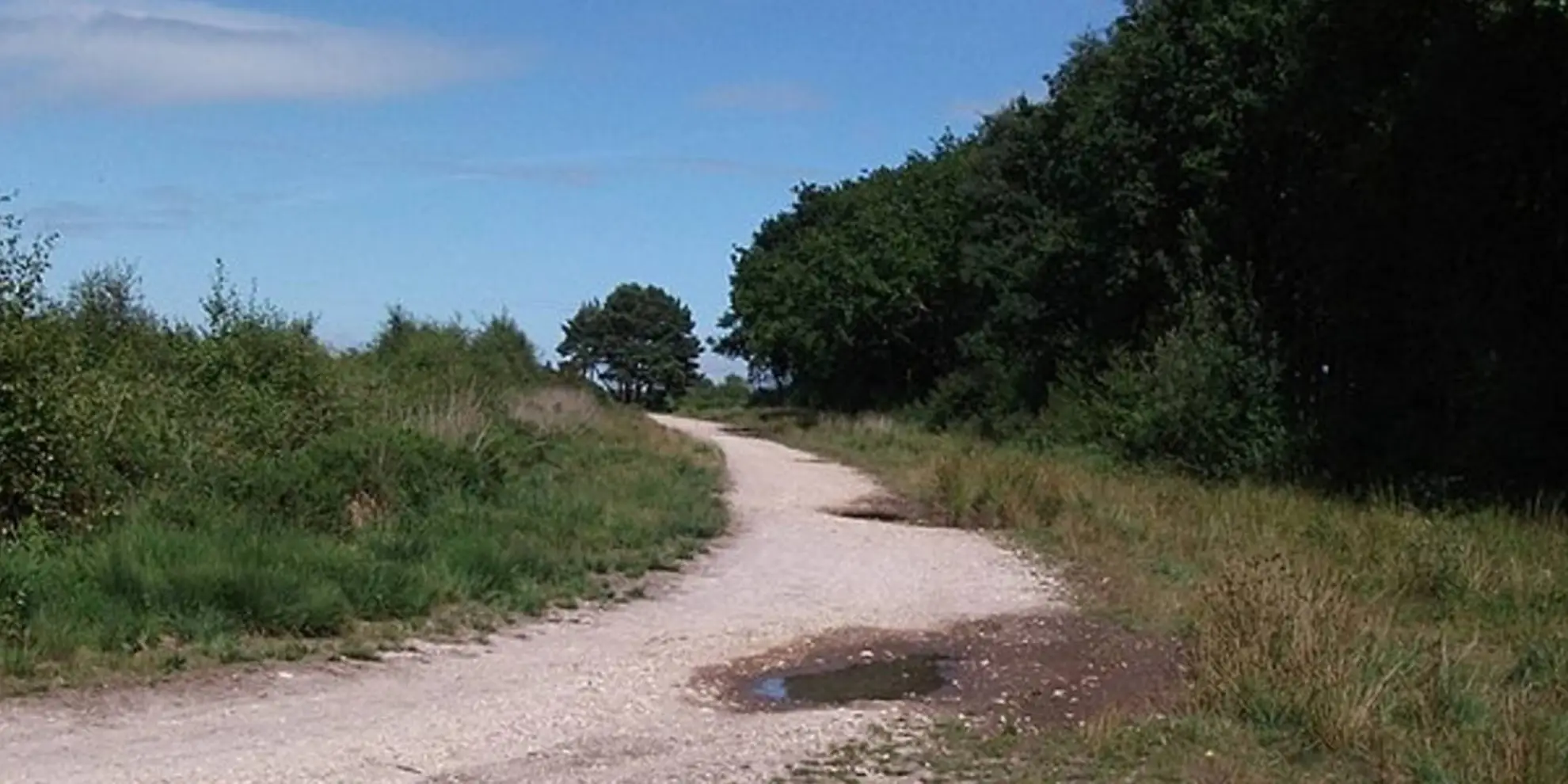 An image depicting the trail Mutter's Moor and the Lower Otter Valley Walk and its surrounding area.