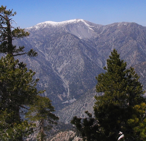 An image depicting the trail Baldy Bowl Trail and Devils Backbone Trail Loop and its surrounding area.