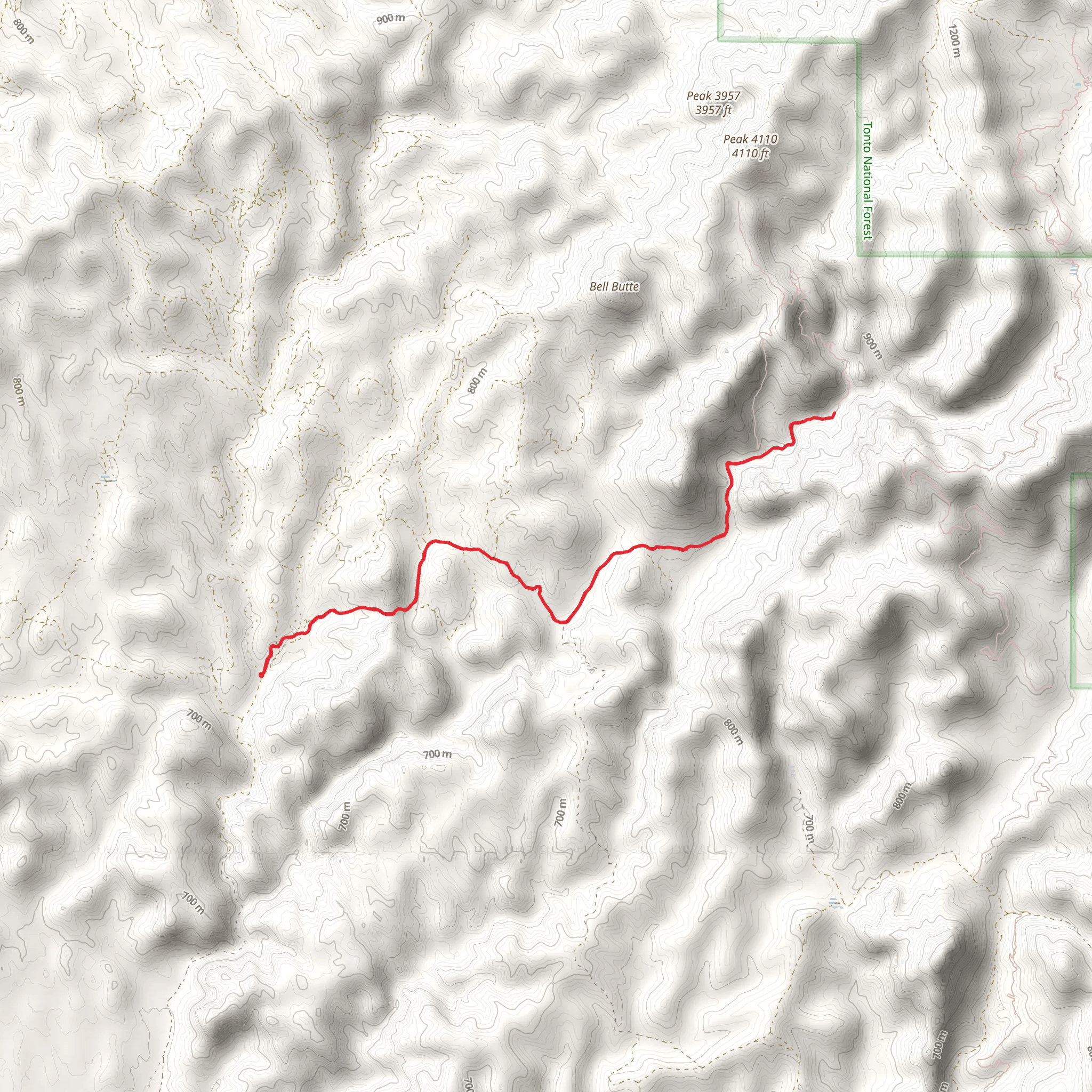 East Martinez Canyon Road mobile static map