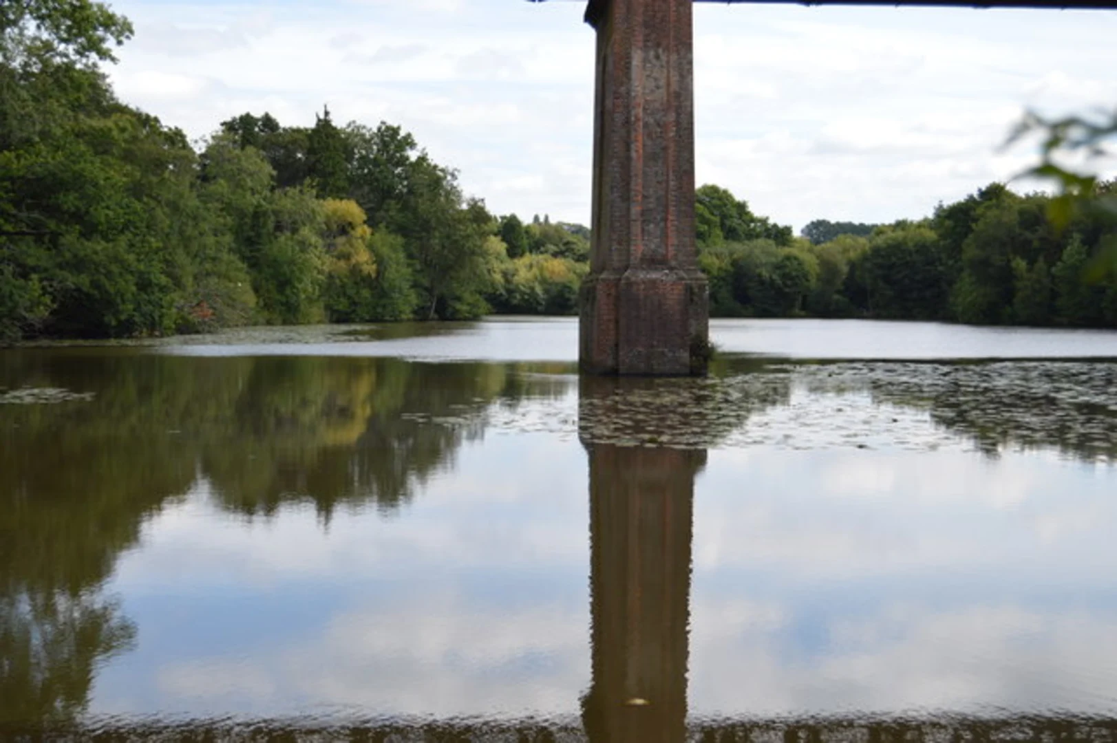 An image depicting the trail Crab Orchard Wood and The Wilderness Lake Loop and its surrounding area.
