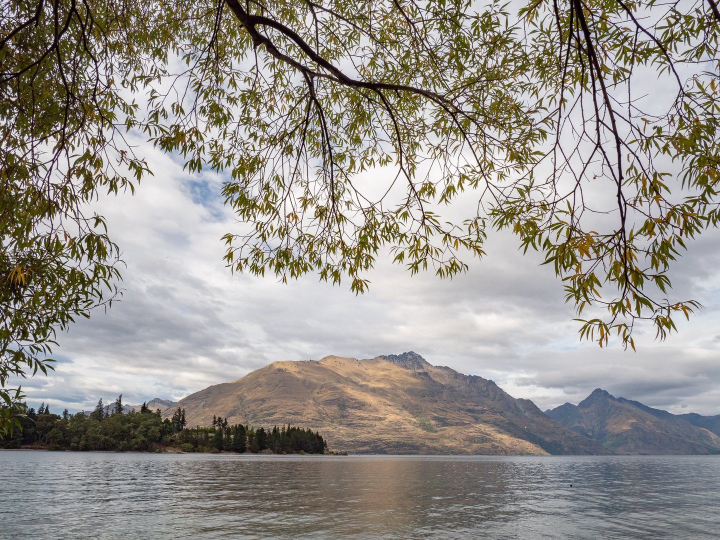 An image depicting the trail Arawata Bridle Track and its surrounding area.