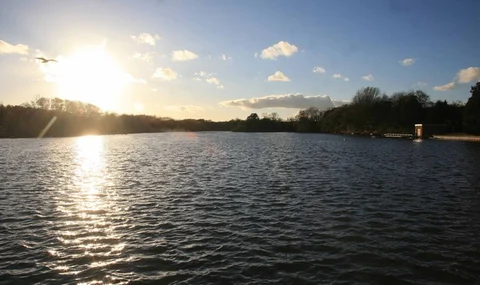 An image depicting the trail Langold Lake Loop and its surrounding area.