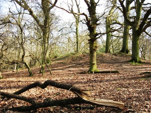 An image depicting the trail Pitstone Common Walk and its surrounding area.