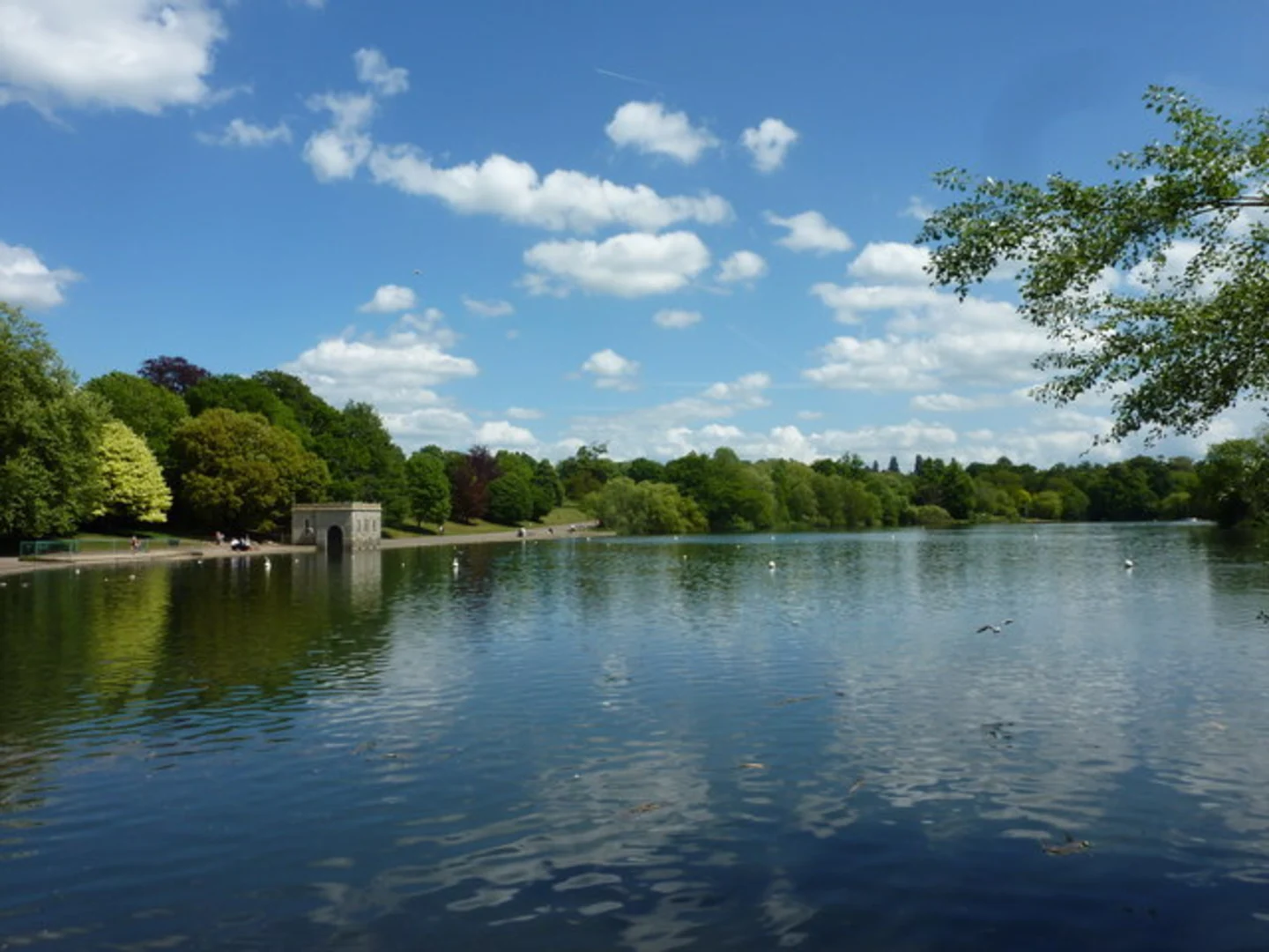An image depicting the trail Mote Park and its surrounding area.