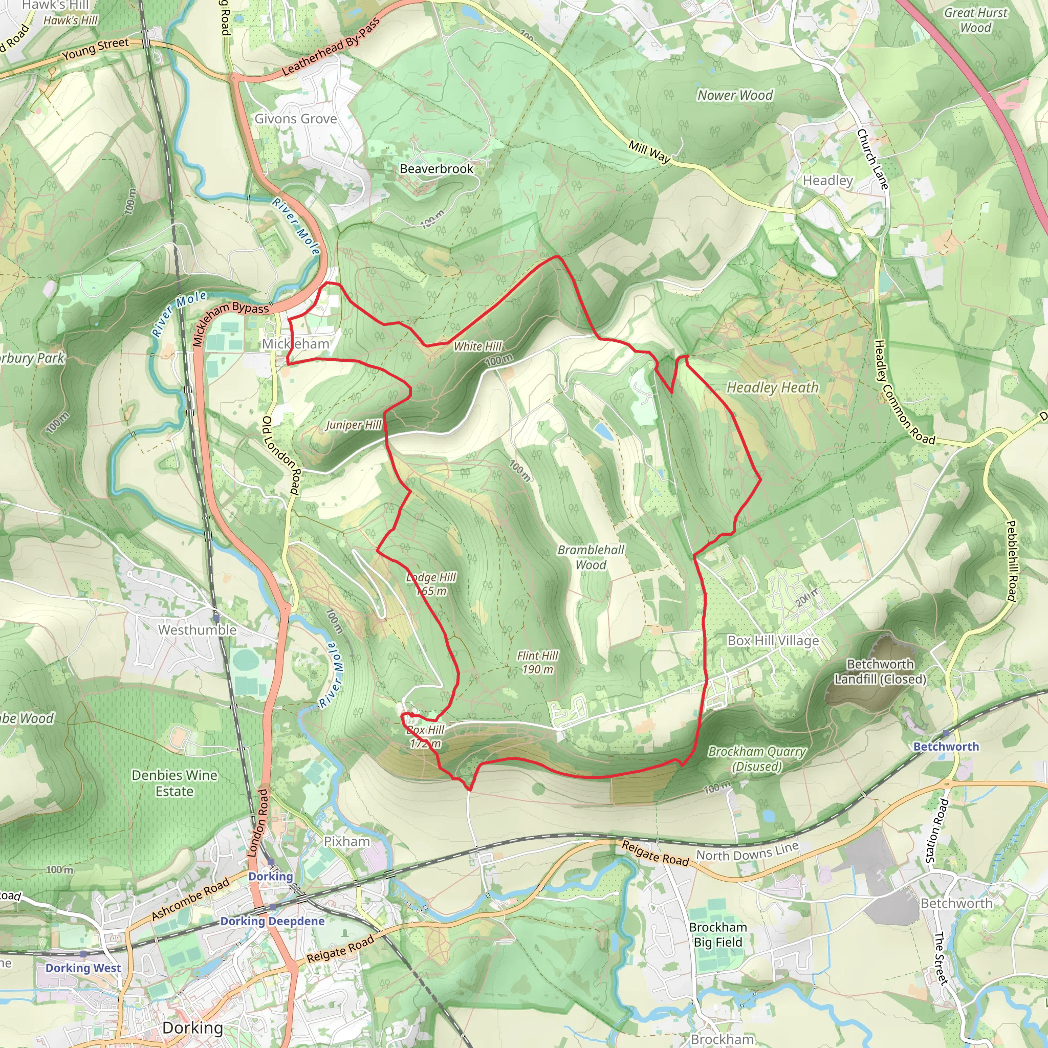 Box Hill and Mickleham Loop mobile static map