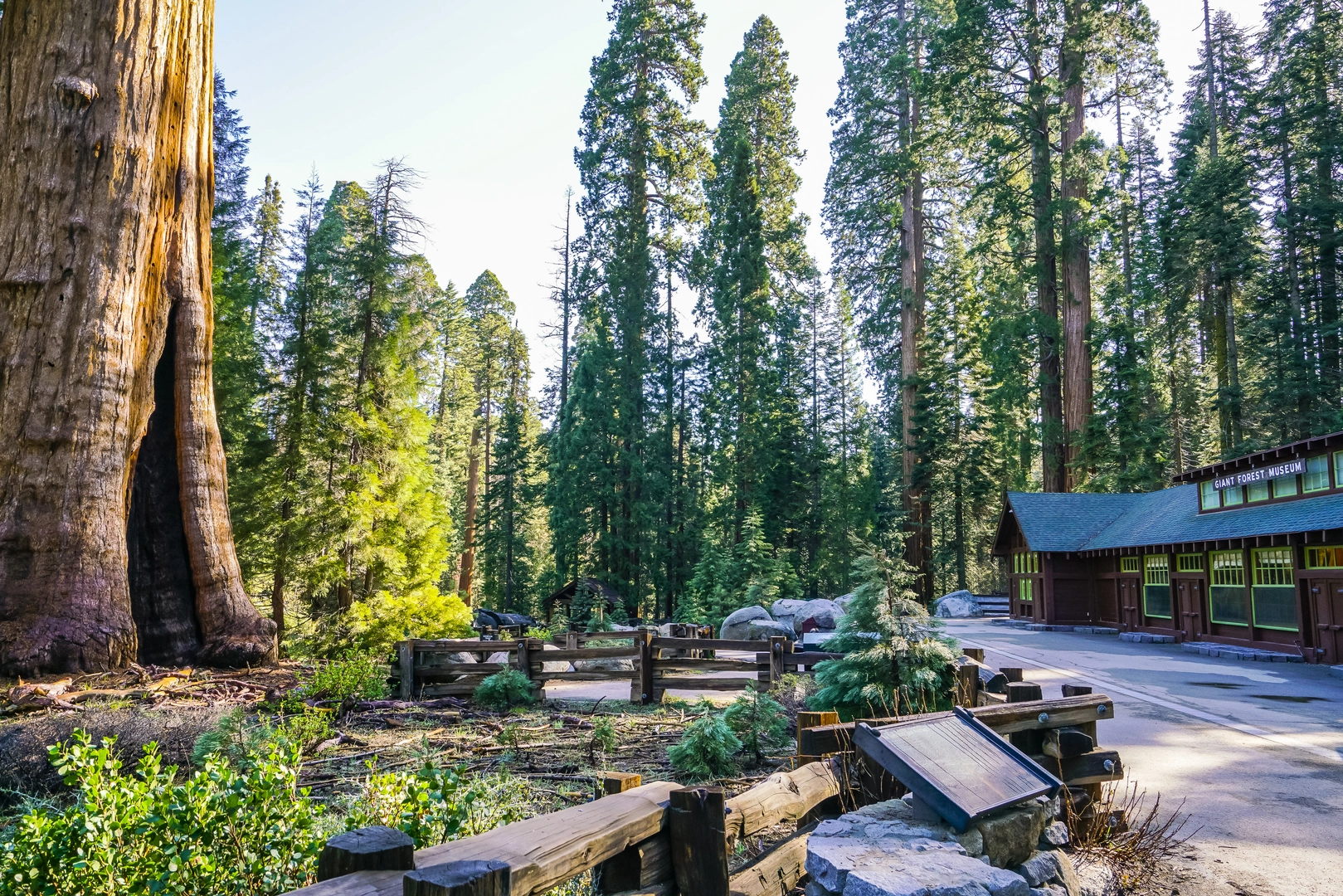 An image depicting the trail Bear Hill and Alta Loop Trail and its surrounding area.