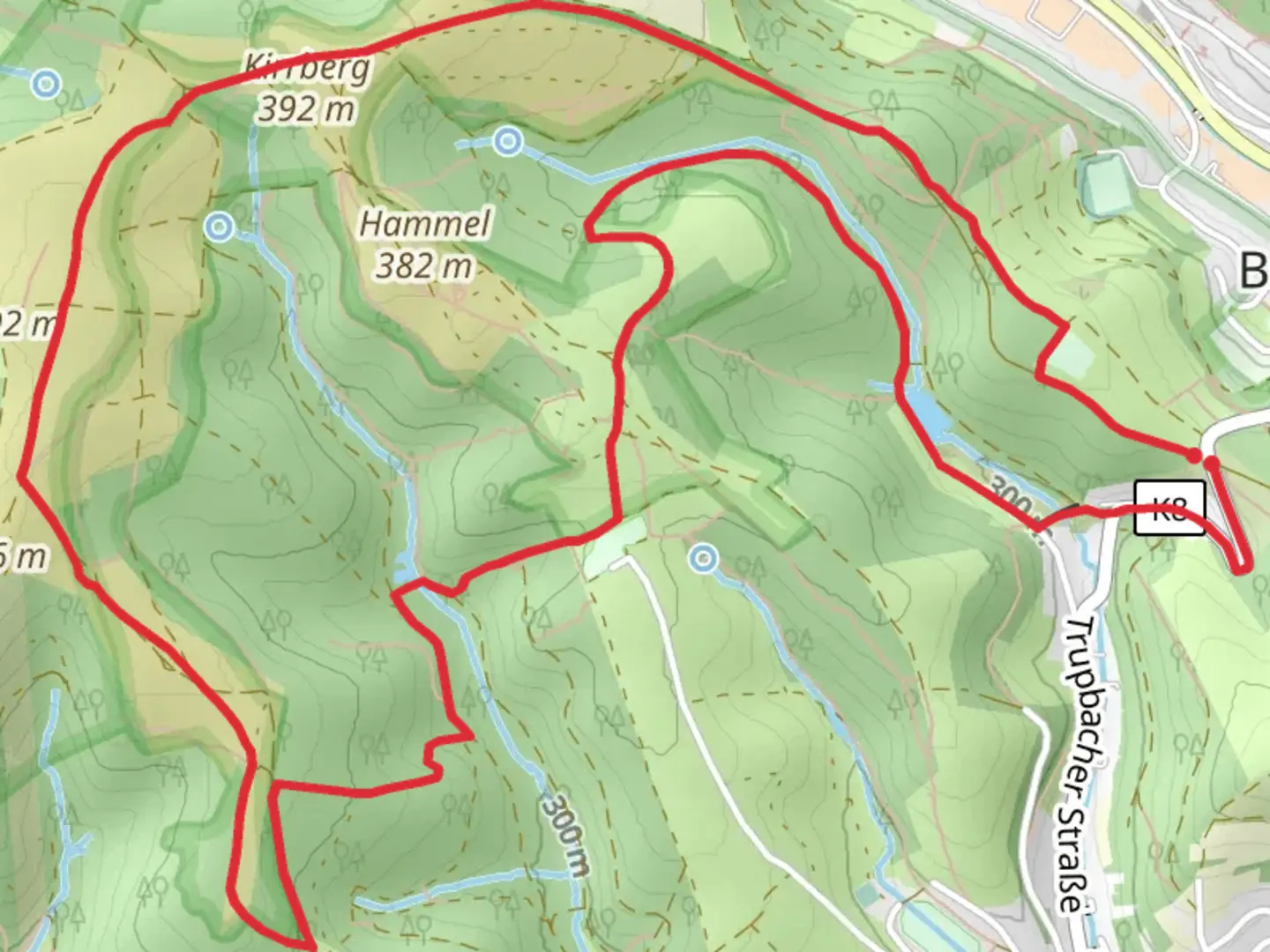 An image depicting the trail NSG Kirrberg via Trupbacher Heide Rundweg and its surrounding area.