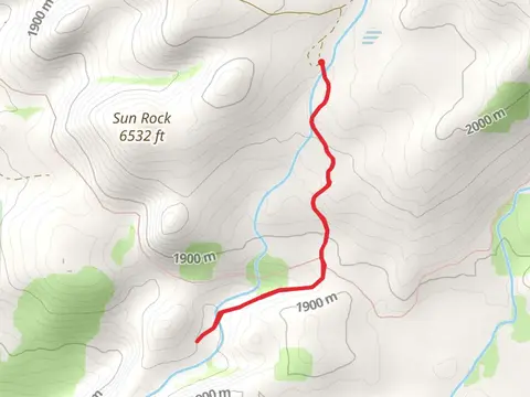 Bassi Trail Out and Back