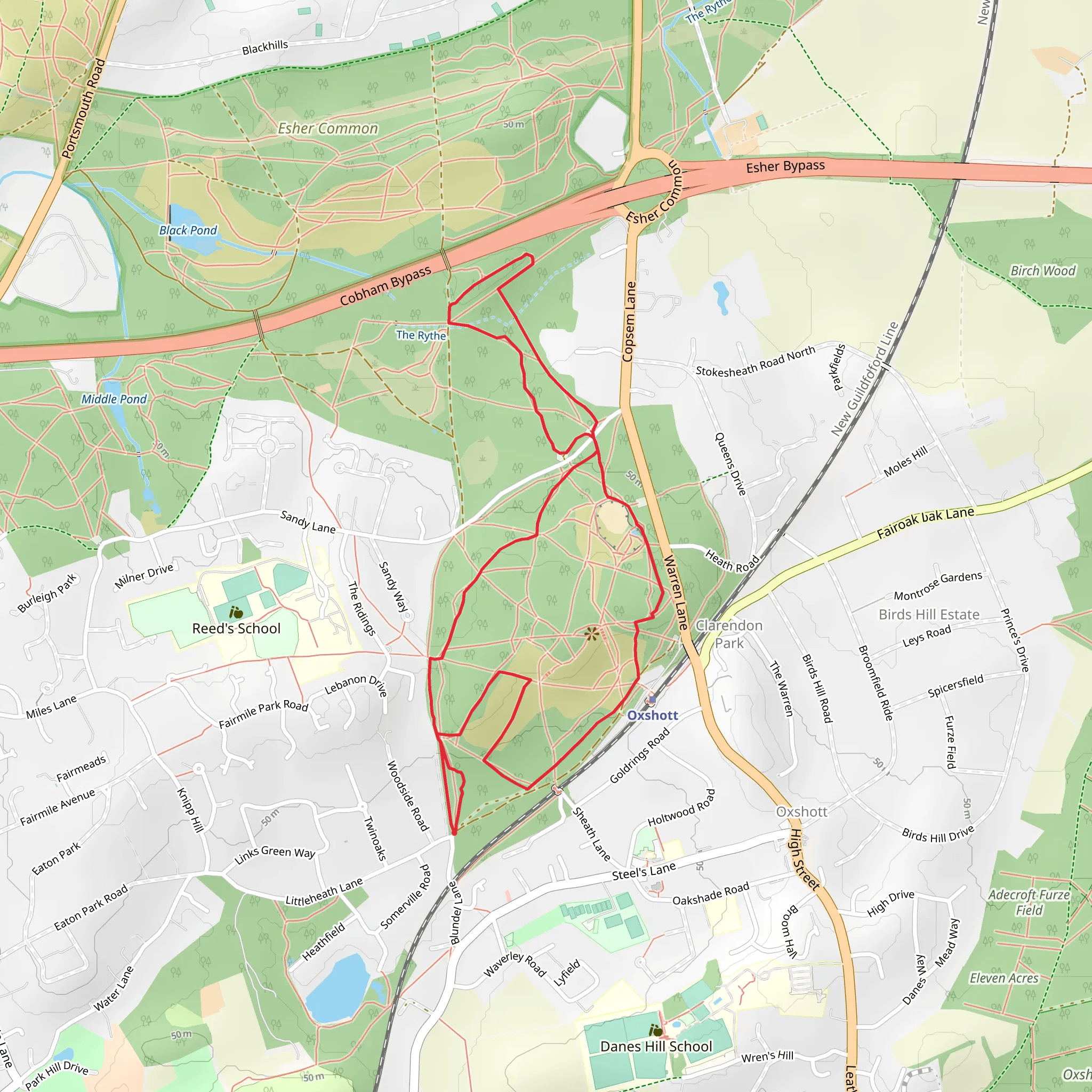 Oxshott Heath Loop mobile static map