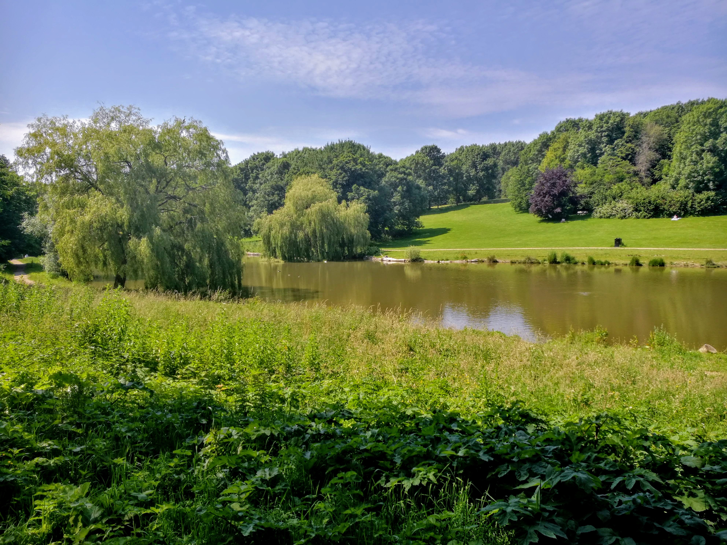 An image depicting the trail Maasluiseweg, Sint Maartensrechtpad and Gaagpad Loop and its surrounding area.