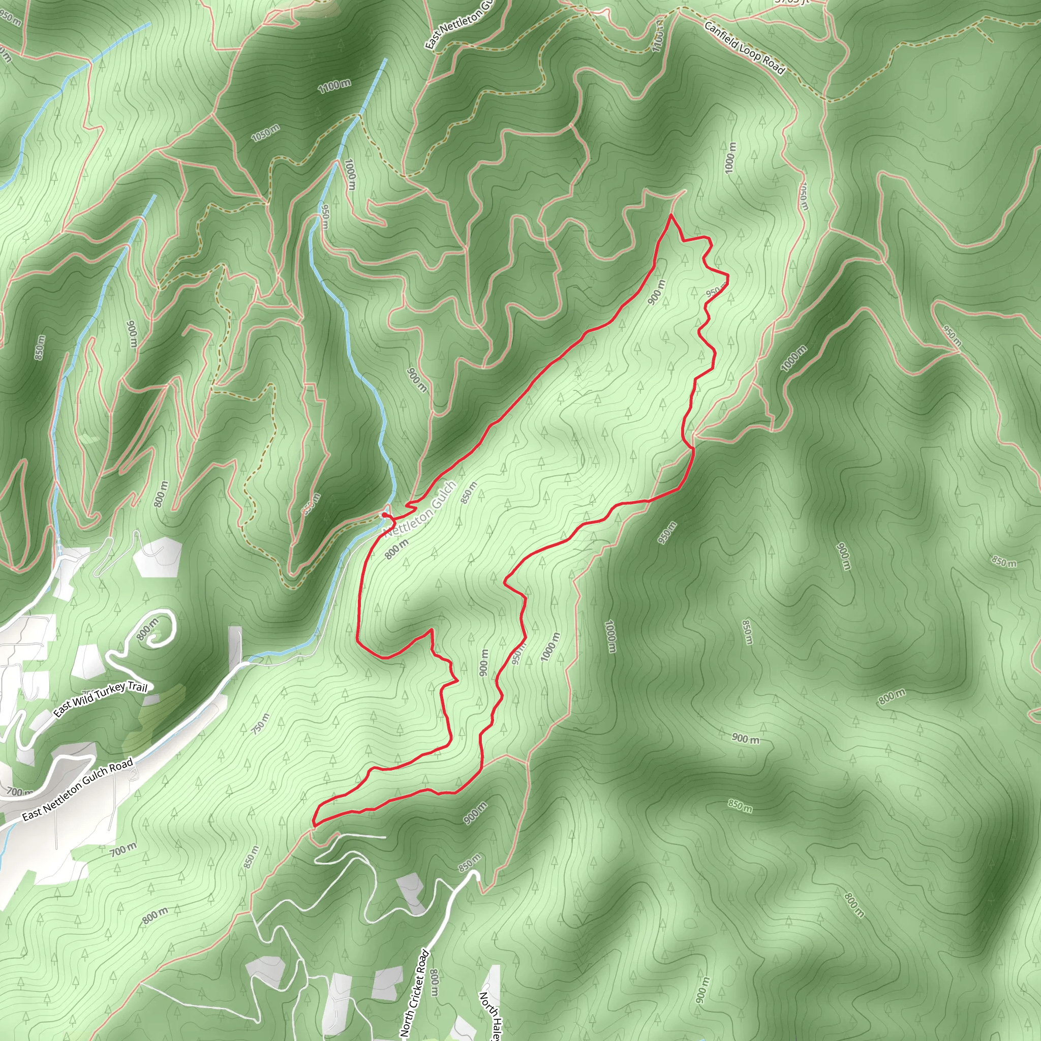 Cave Trail and Trailin Trail Loop mobile static map