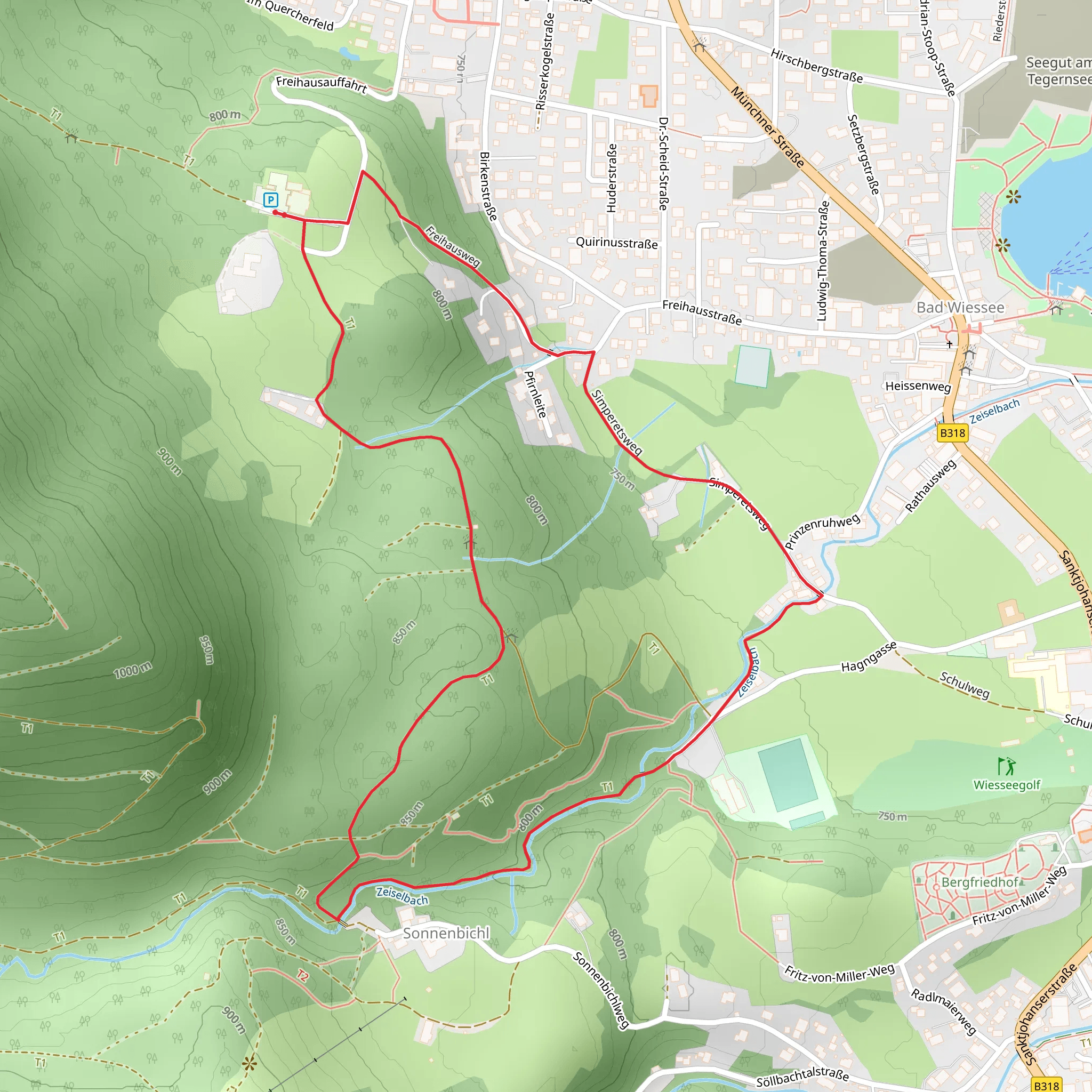 Prinzenruh Loop via Freihausauffahrt mobile static map