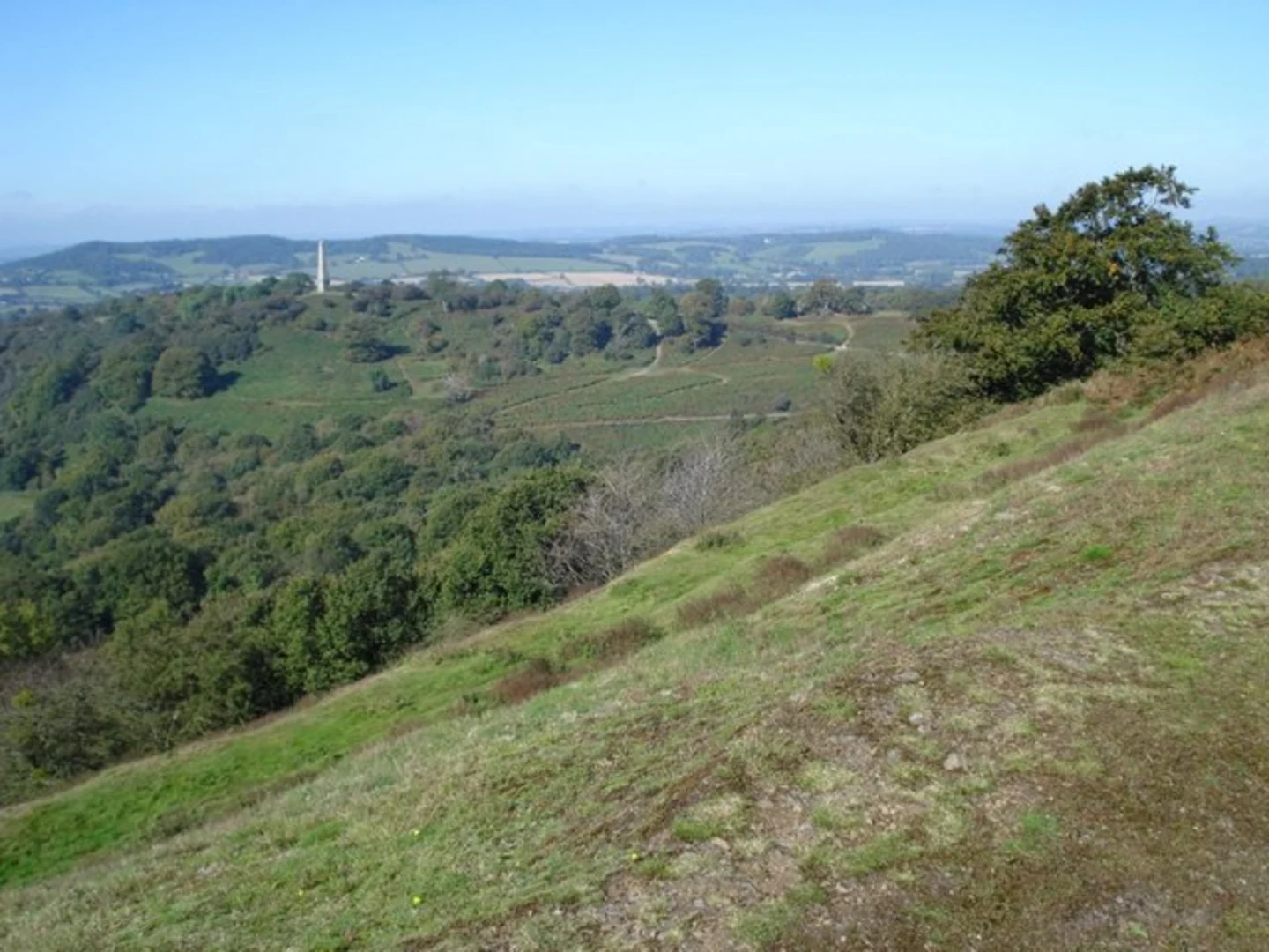 An image depicting the trail Midsummer Hill and Little Hollow and its surrounding area.