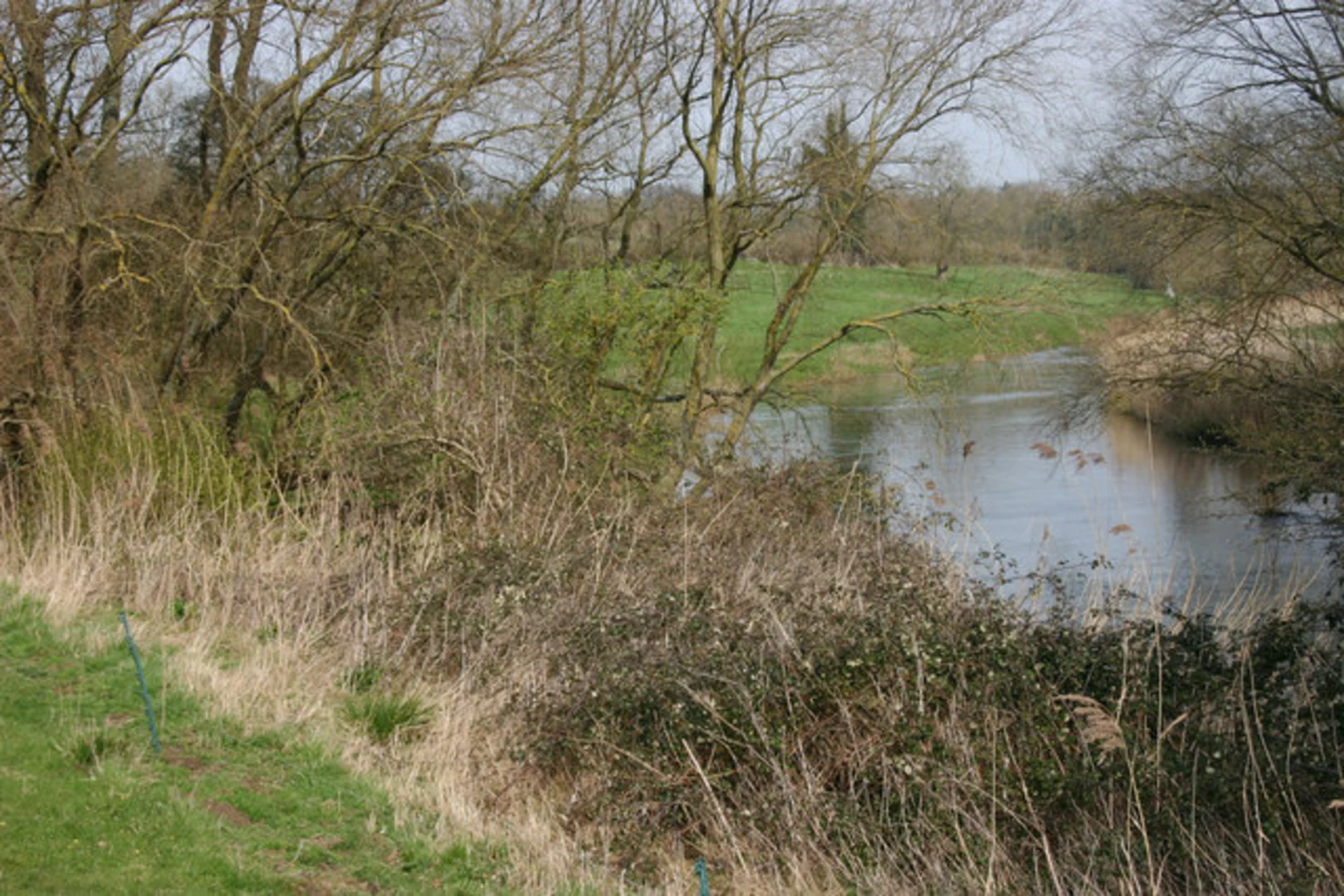 An image depicting the trail Stevington Loop and its surrounding area.