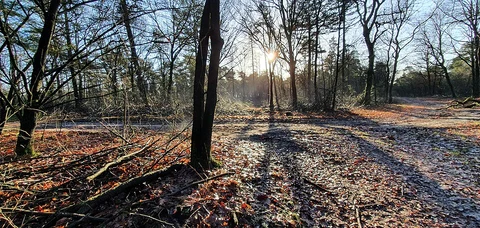 Ysselsteyn to Rodermansstraat via Het Helder and Overloonsche Duinen