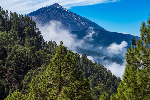 An image depicting the trail La Caldera - Casa del Agua - Pinolere PR TF 35-1 and its surrounding area.