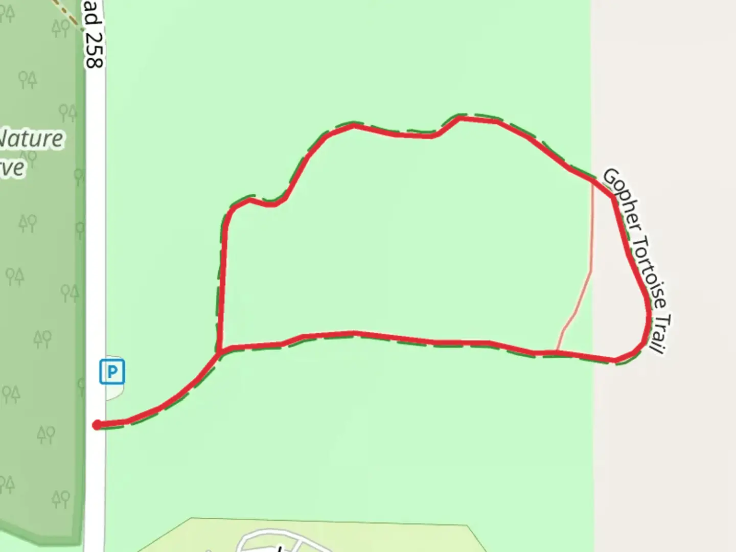 An image depicting the trail Gopher Tortoise Loop Trail and its surrounding area.