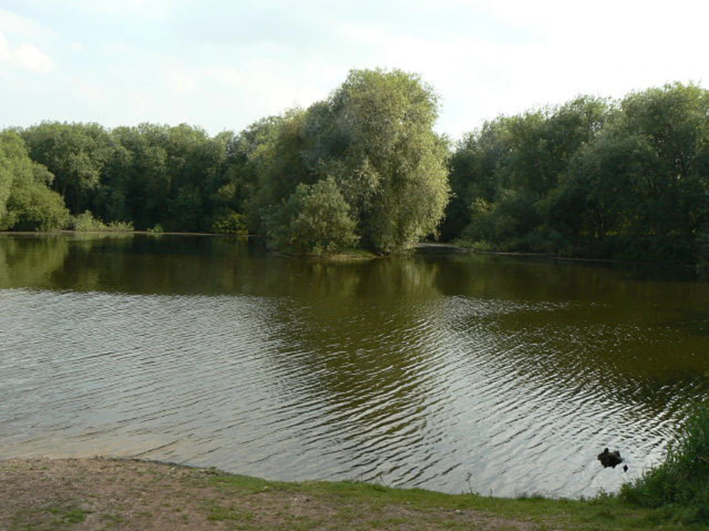 An image depicting the trail Holme Pierrepont Country Park Loop and its surrounding area.