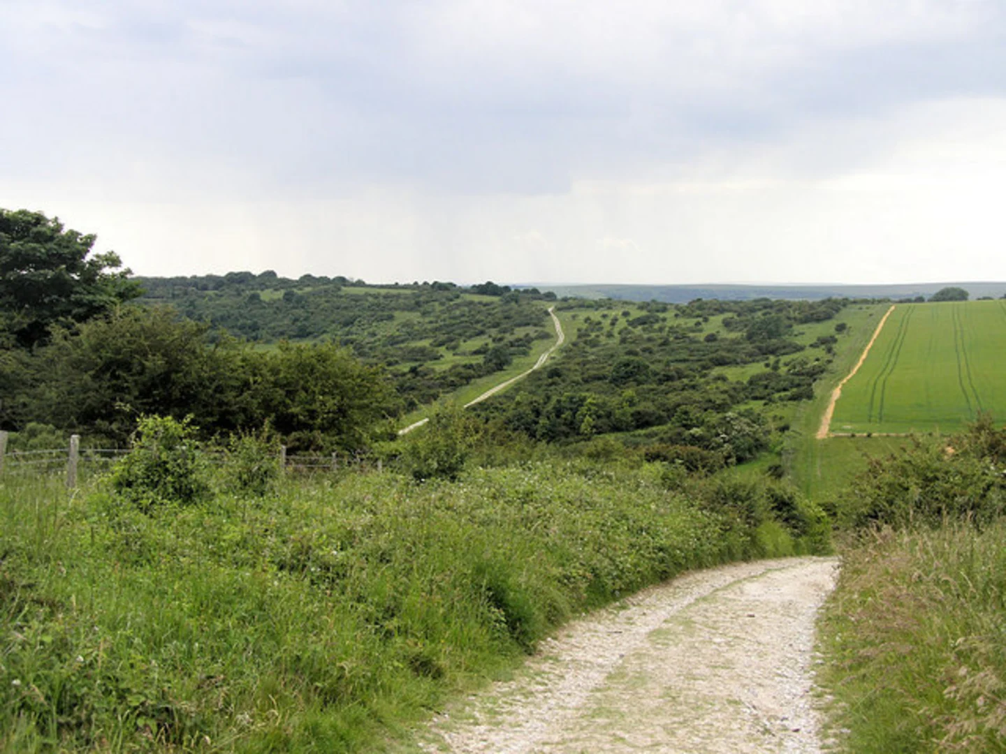 An image depicting the trail Wilmington Hill and Winchester's Pond Loop and its surrounding area.