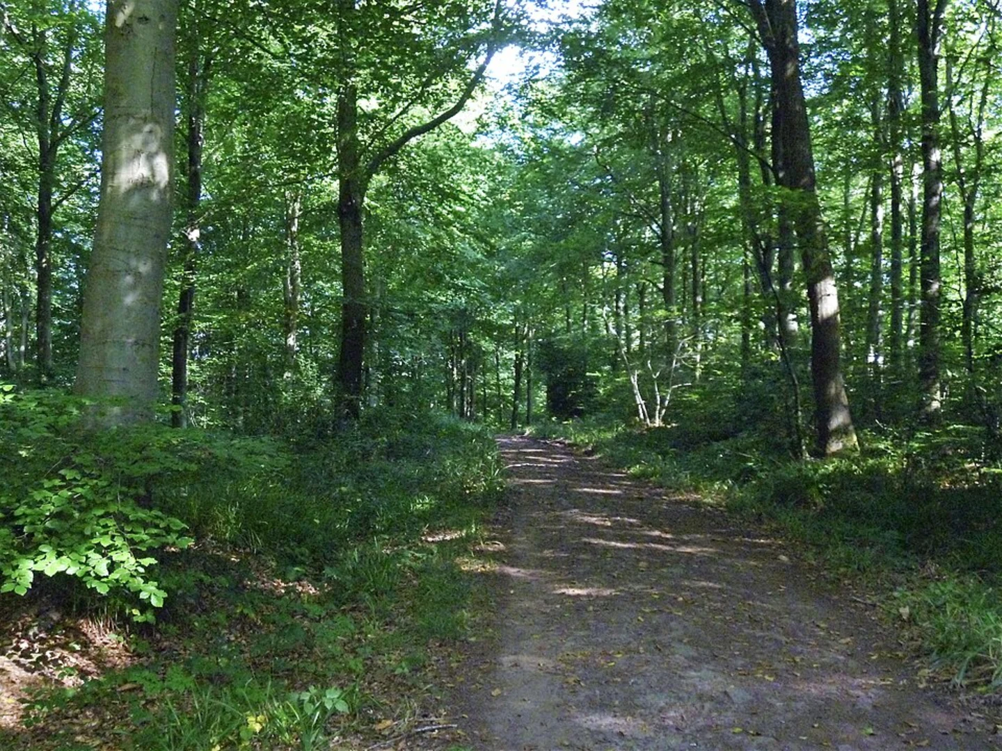 An image depicting the trail Ashton Court Estate Loop and its surrounding area.