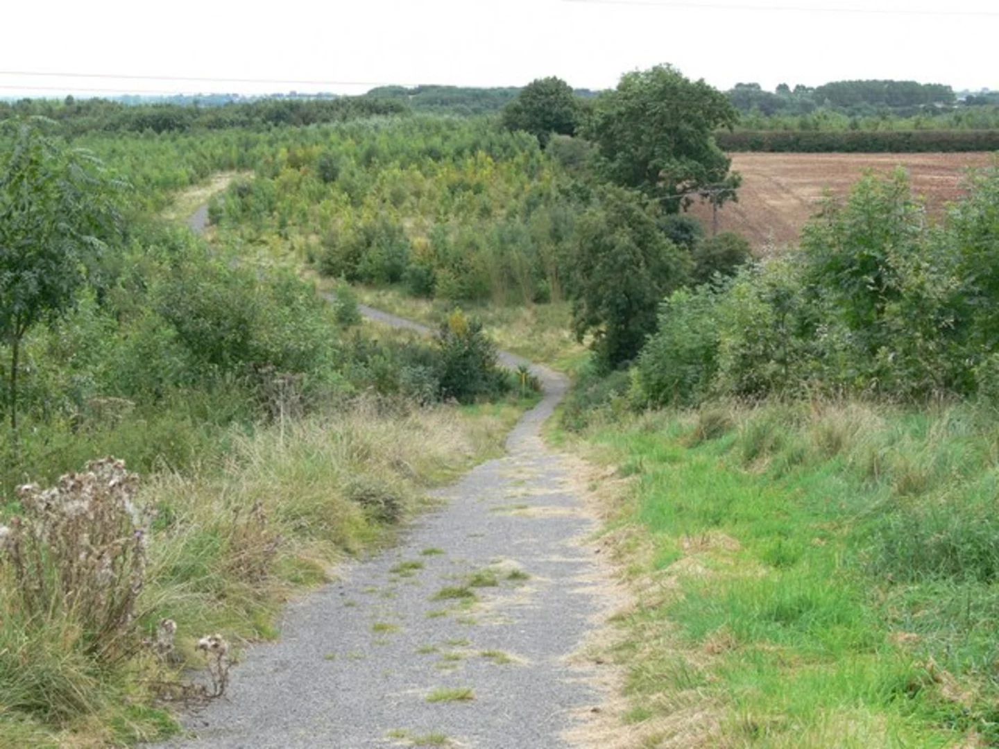 An image depicting the trail Bagworth Heath Woods Walk and its surrounding area.