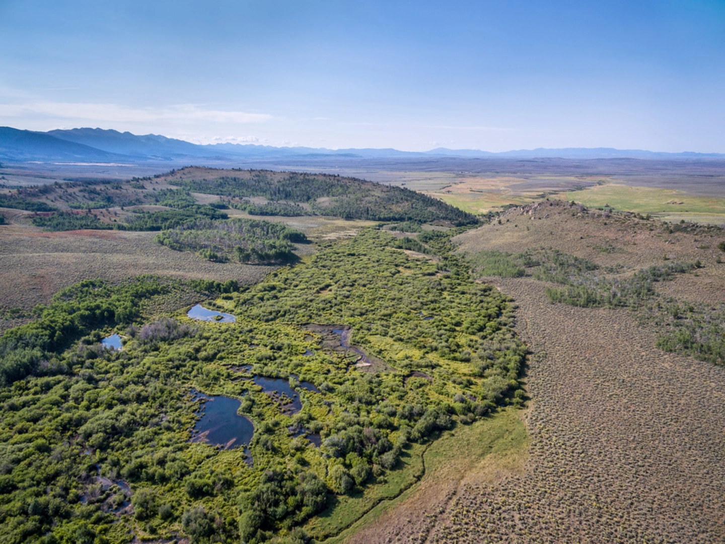 An image depicting the trail Sherman Creek Trail and its surrounding area.