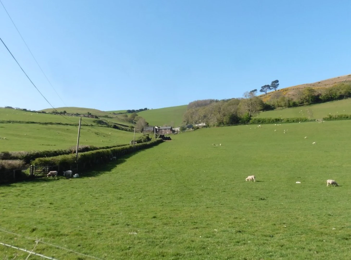 An image depicting the trail Bratton Ball Walk and its surrounding area.