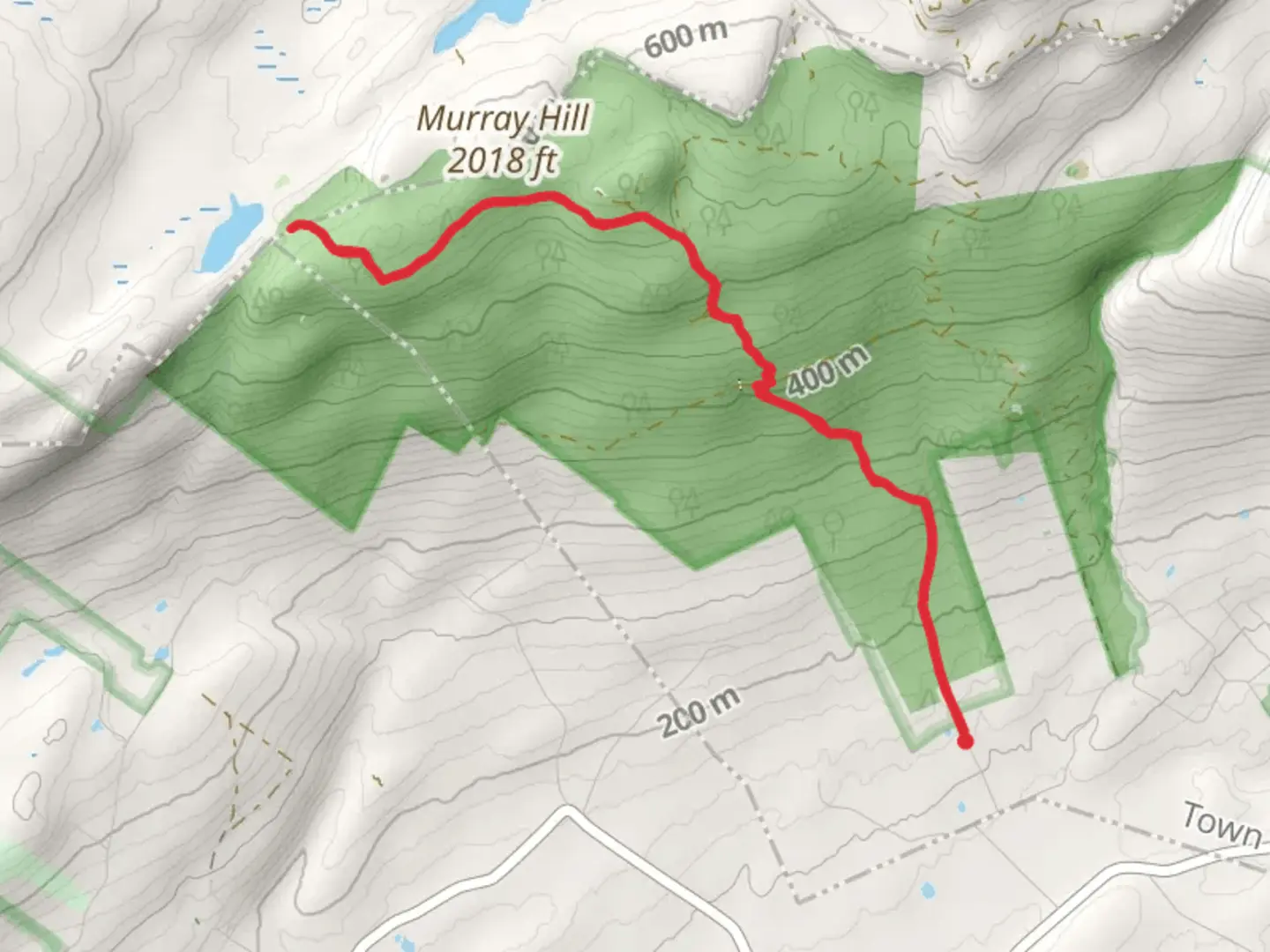An image depicting the trail Mud Pond - Haseco Lake via Awosting Reserve Loop and its surrounding area.