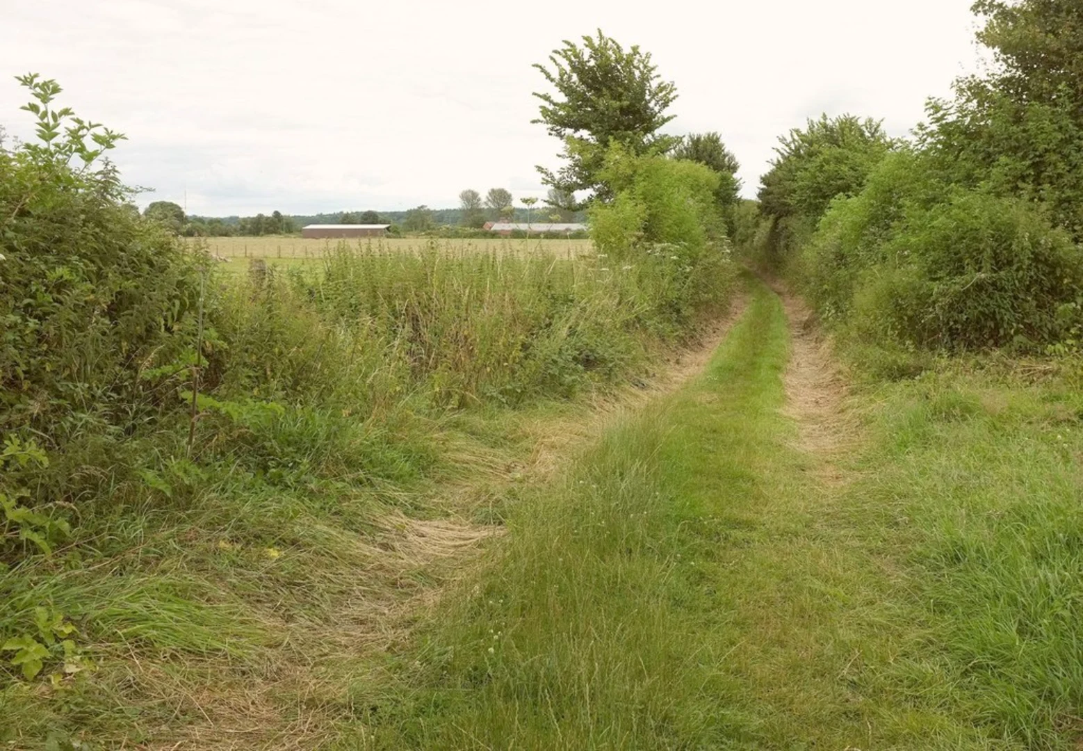 An image depicting the trail Fordingbridge to Woodgreen Loop and its surrounding area.