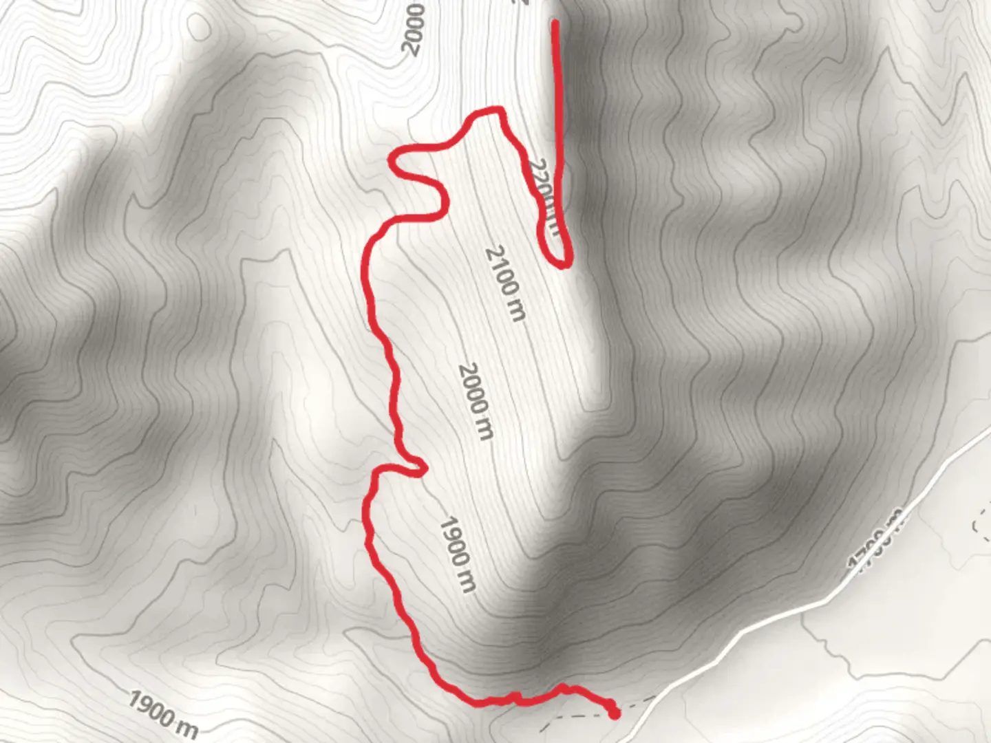 An image depicting the trail Willis Trail and its surrounding area.