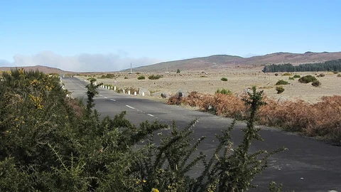 An image depicting the trail PR 13 Vereda do Fanal and its surrounding area.