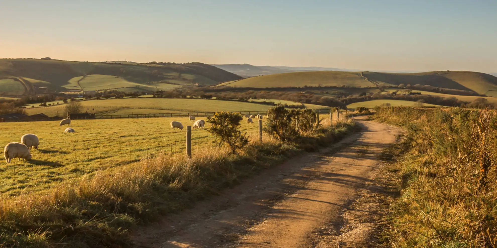 An image depicting the trail Falmer to Pyecombe and Blackcap By South Downs Way and its surrounding area.
