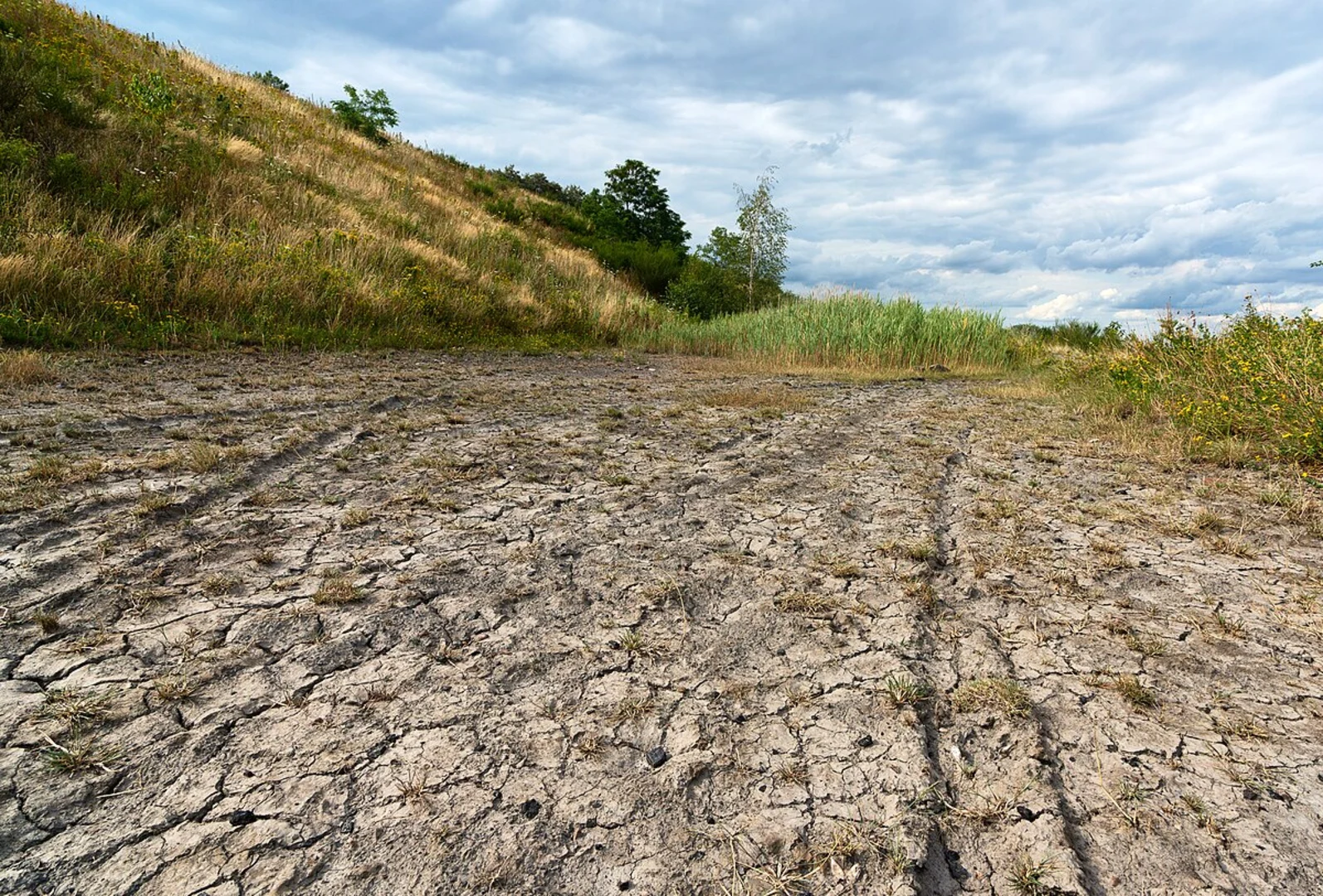 An image depicting the trail Halde Haniel Loop and its surrounding area.