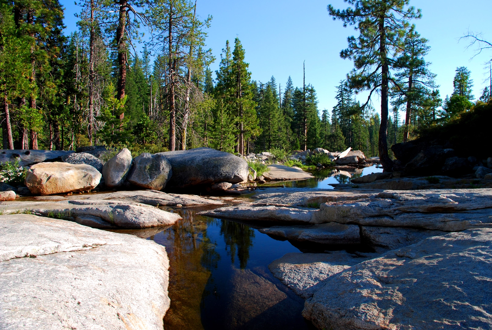 An image depicting the trail Bassi Falls Loop and its surrounding area.