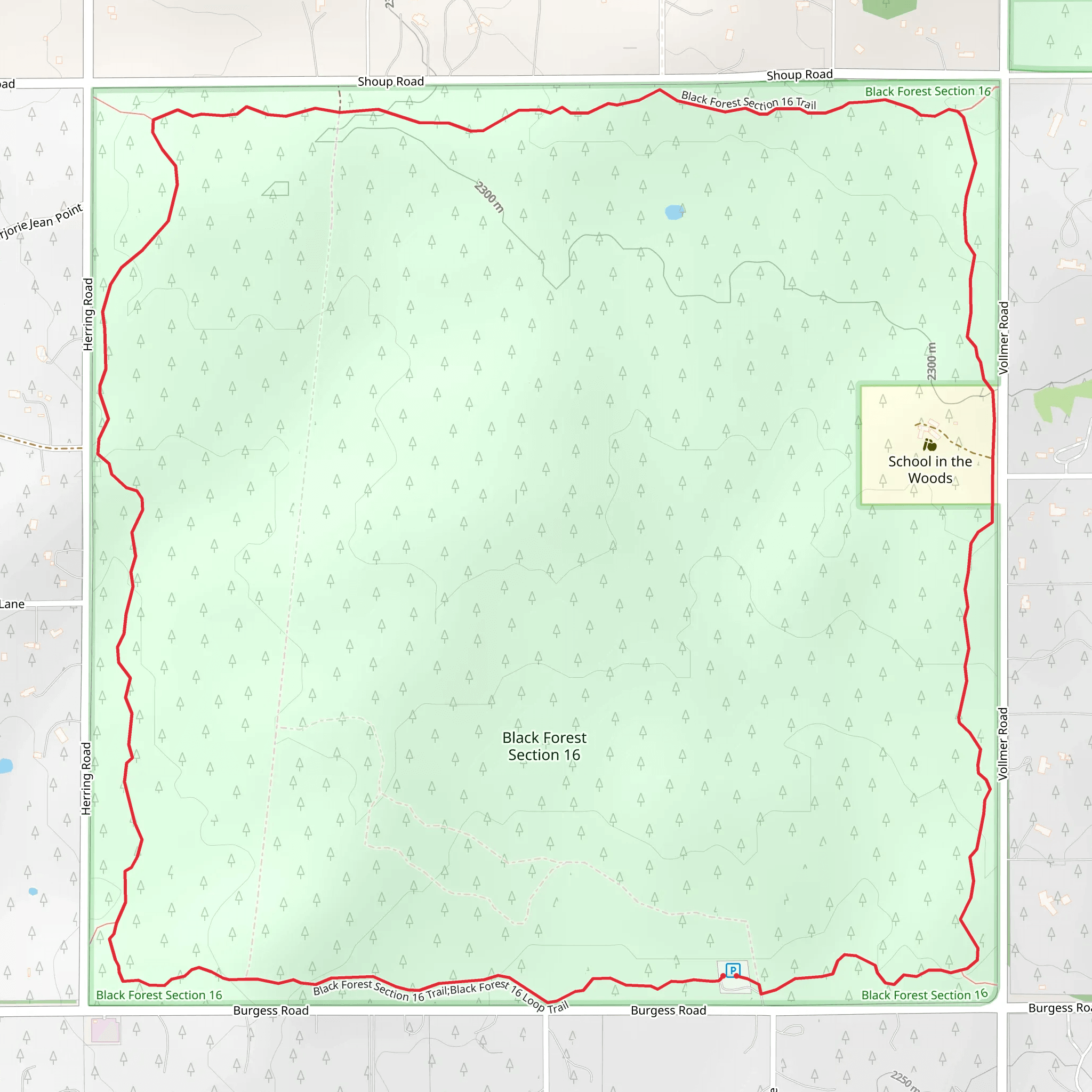 Black Forest Section 16 Loop mobile static map