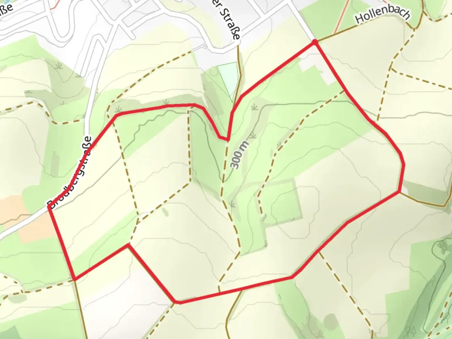 An image depicting the trail Brodbergstraße Loop and its surrounding area.