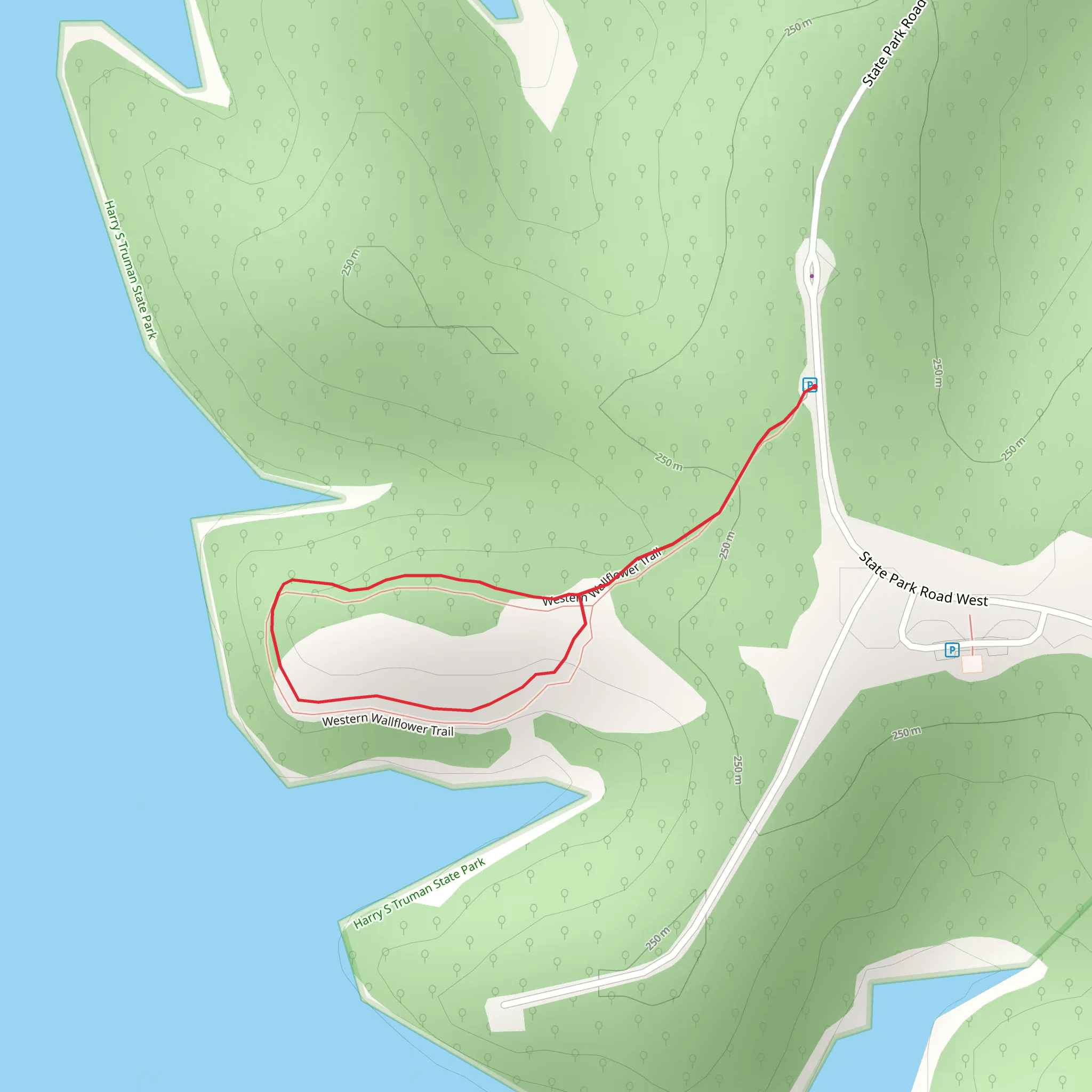Western Wallflower Loop Trail mobile static map