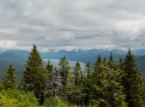 An image depicting the trail Apgar Mountain Horse Loop Trail and its surrounding area.