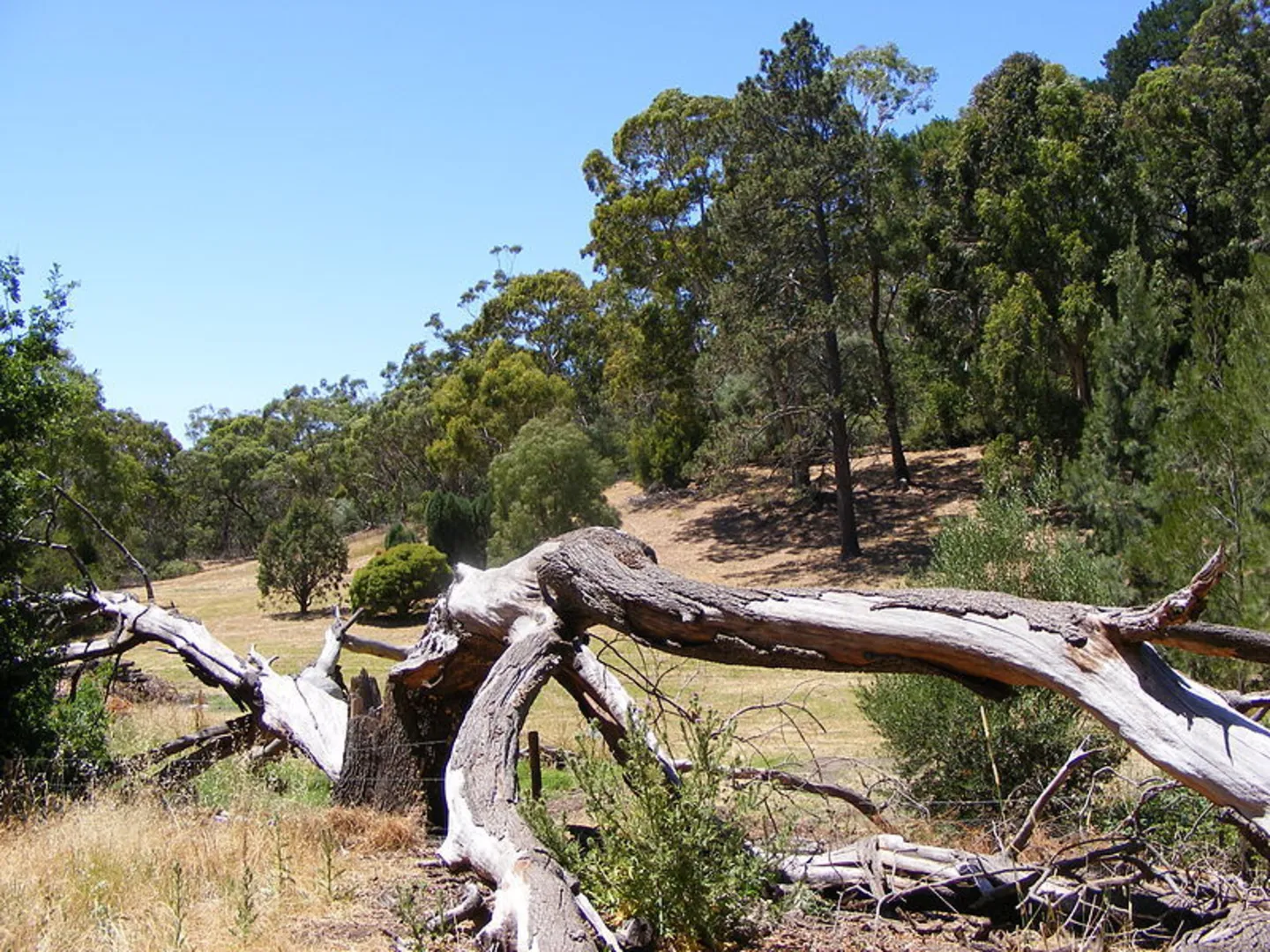 An image depicting the trail Valley Loop Hike - Belair National Park and its surrounding area.