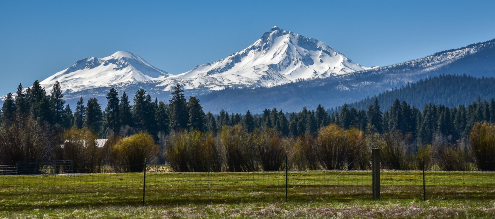 An image depicting the trail East Metolius River Trail and its surrounding area.