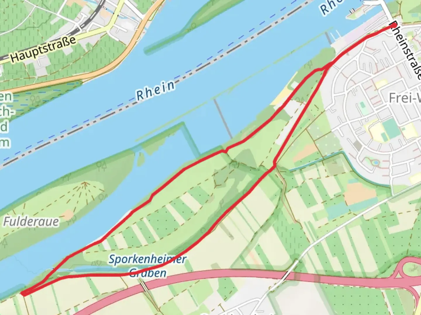 An image depicting the trail Rheindamm and Sporkenheimer Graben Loop and its surrounding area.