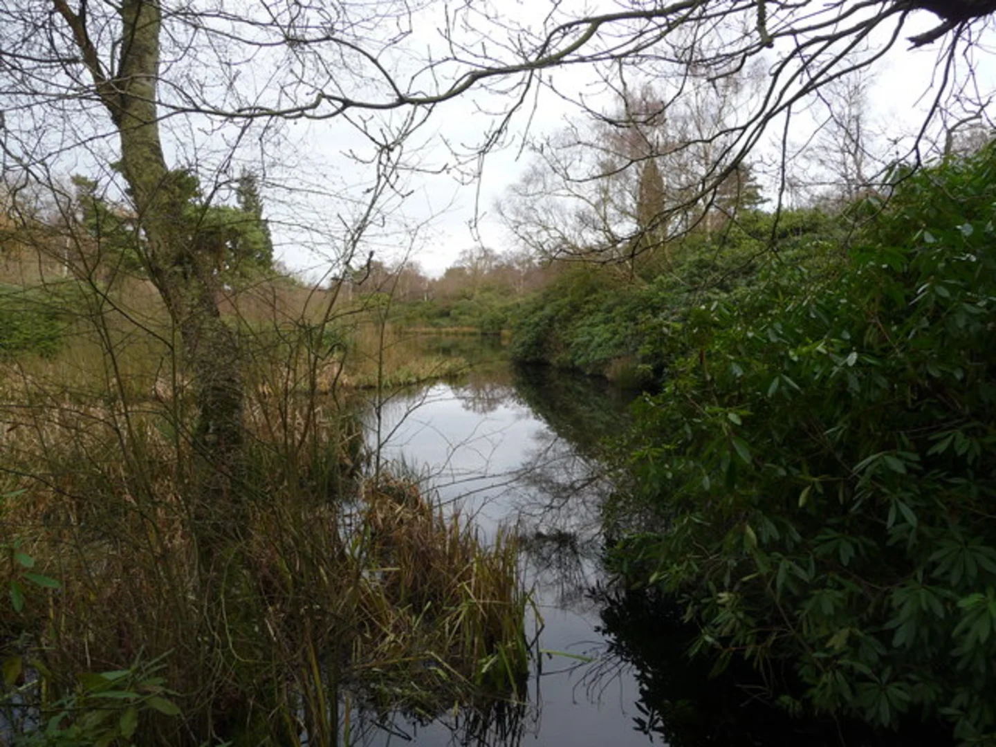 An image depicting the trail Twigmoor Woods and Gull Ponds Loop and its surrounding area.